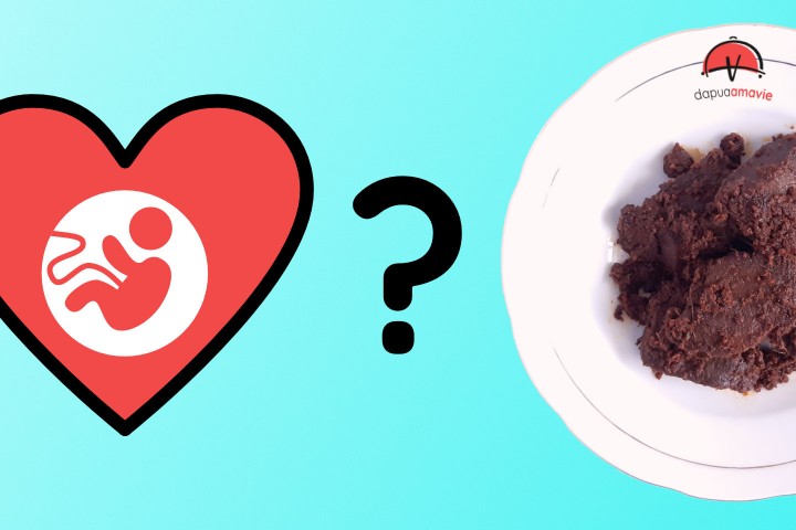 Bolehkah Ibu Hamil Muda Makan Daging Rendang?